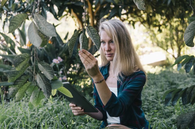 Inspection and Monitoring