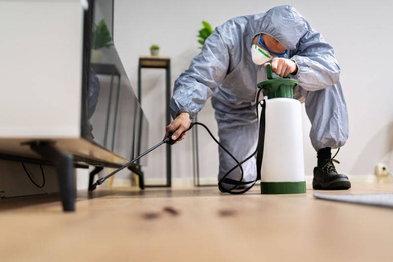 Pest Fumigation Service in Davis County, UT
