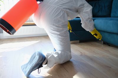 Pest Fumigation Service in Madison, WI