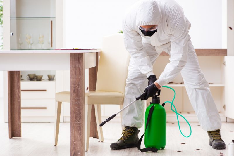 Licensed Pest Control Experts