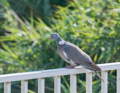 Protect Your Property